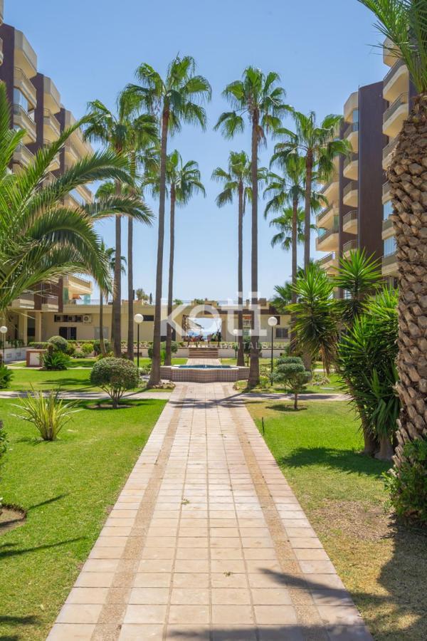 Koti - Dona Sofia Apartamento