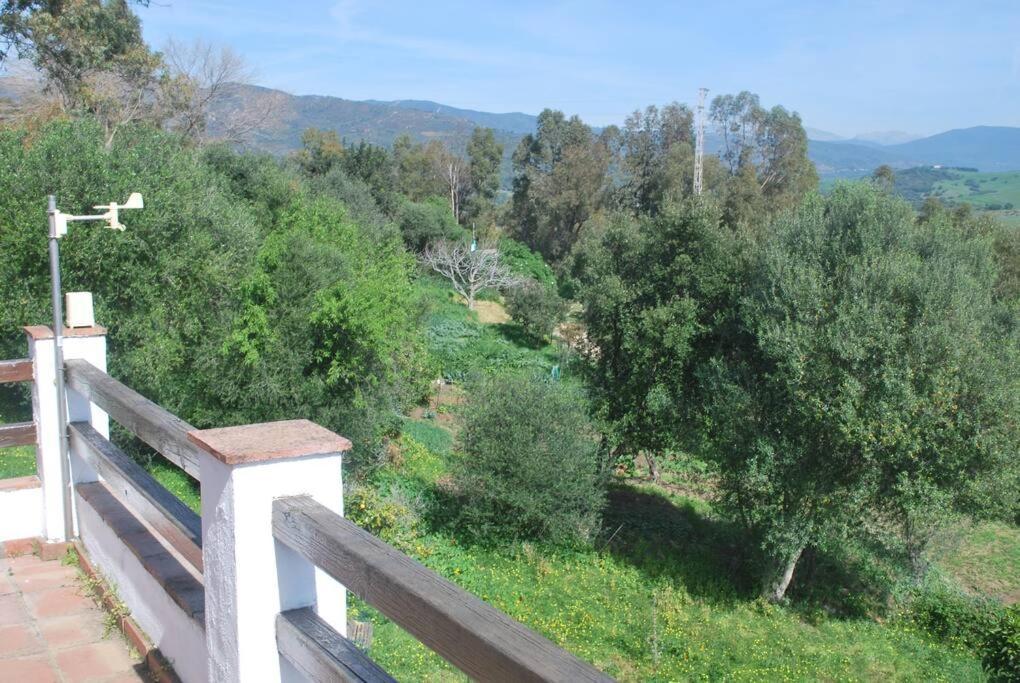 El Mirador *