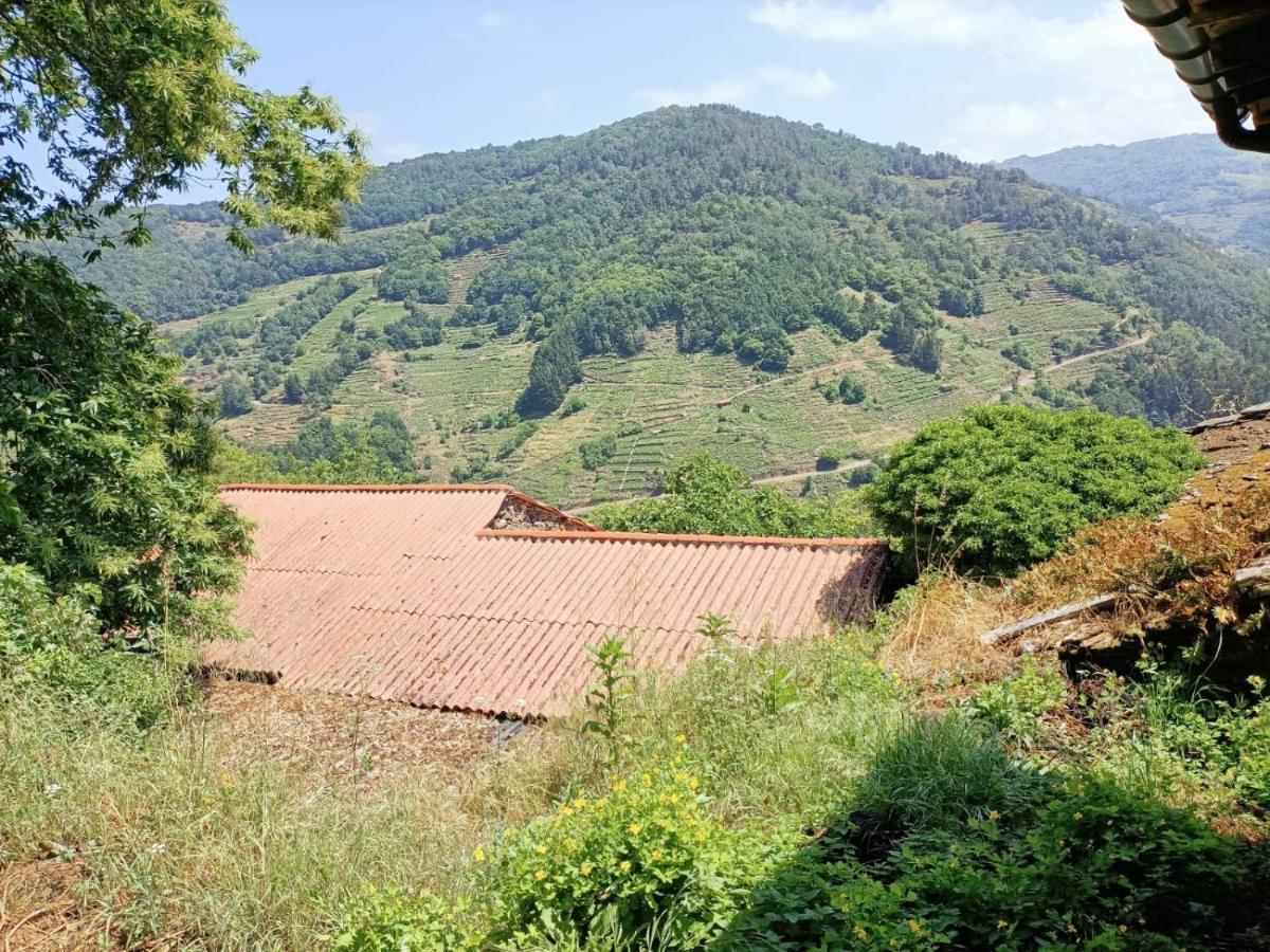 Villa Casa Yanez