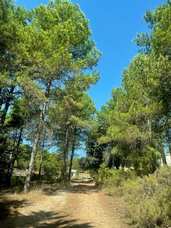 Holiday home Sanz *