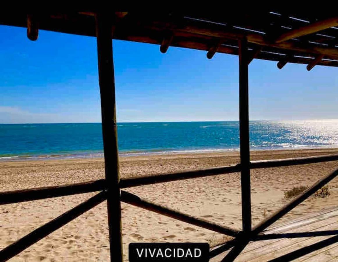 Apartamento Primera Linea De Playa Con Piscina