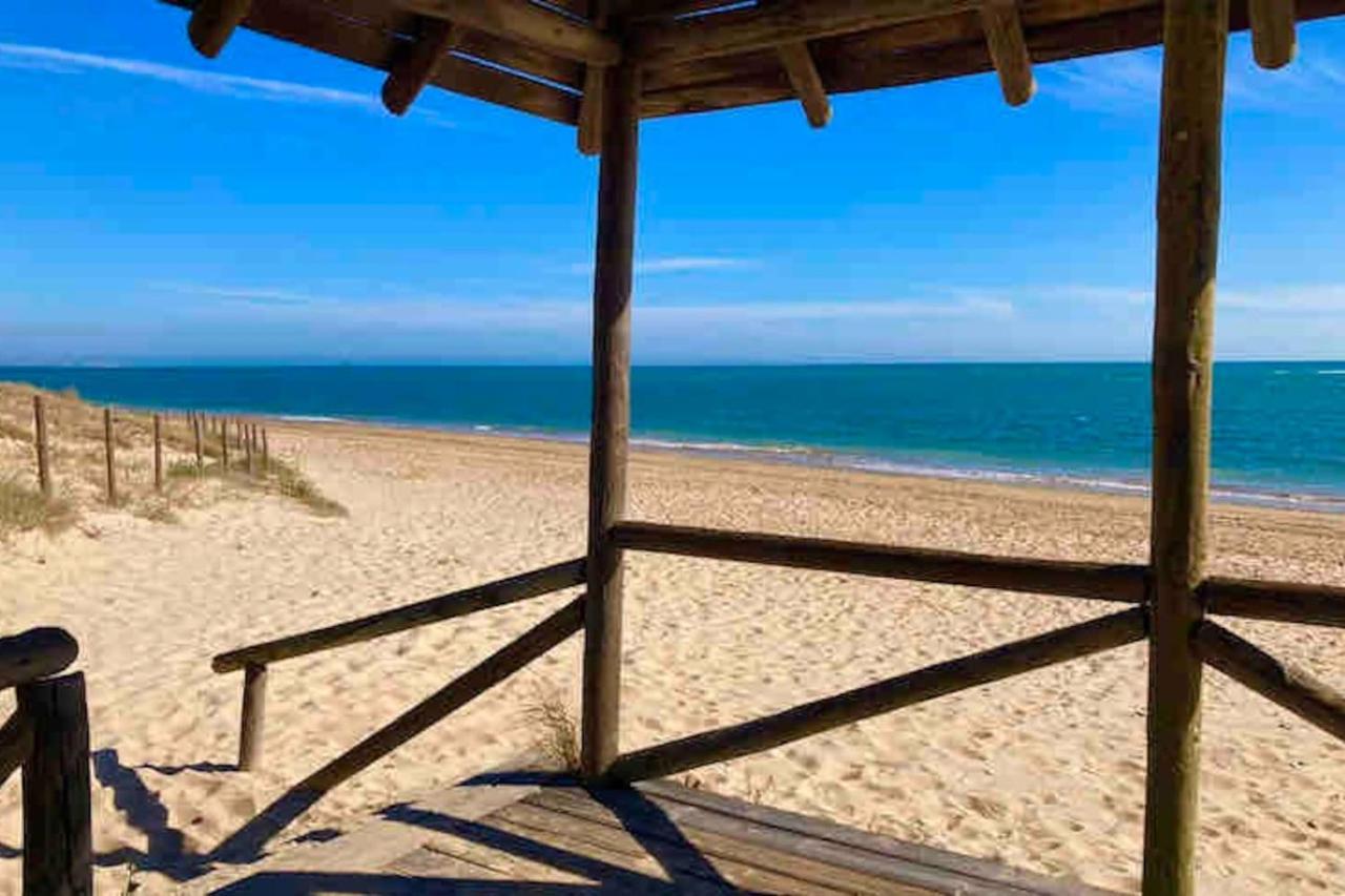 Apartamento Apartamento Primera Linea De Playa Con Piscina *