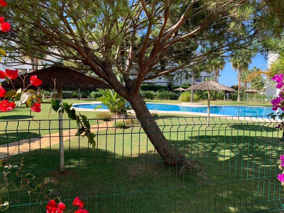 Apartamento Apartamento Primera Linea De Playa Con Piscina *