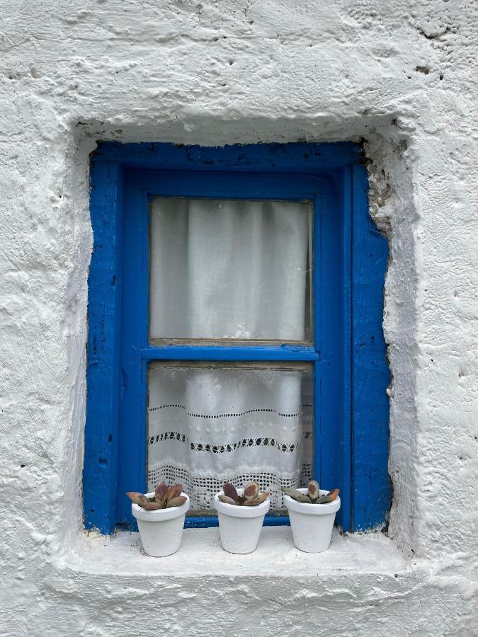 Casa Fulanita *