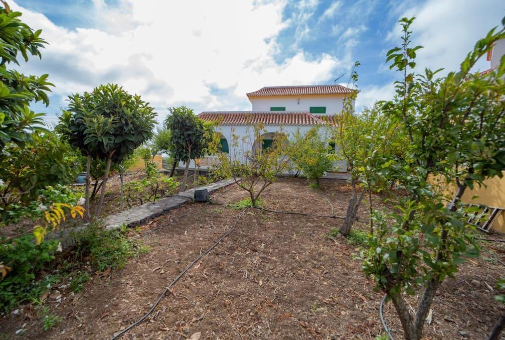 Teram Villa *