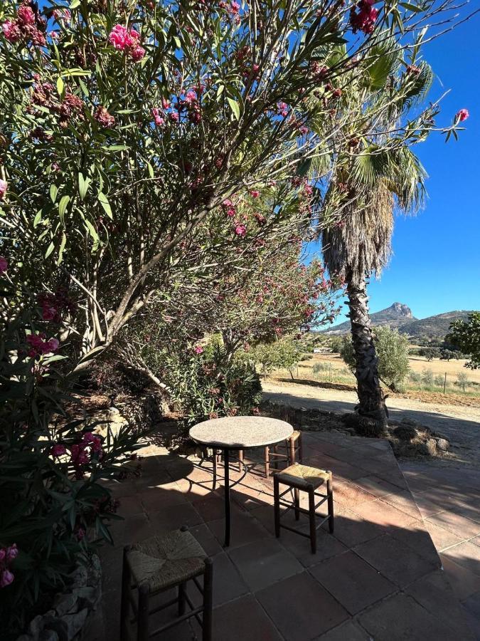 Cortijo Burruelo Chalet *