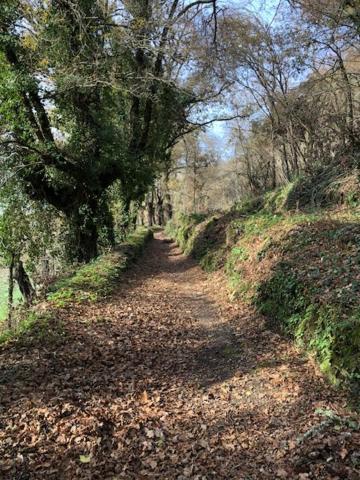 Bed and breakfast Casa Acougo, Sarria