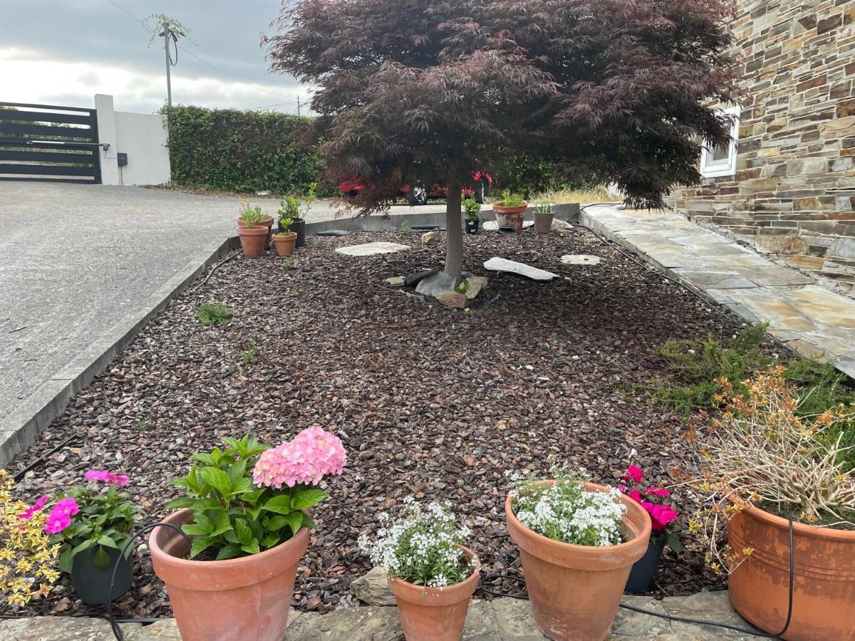 Casa Acougo, Bed and breakfast