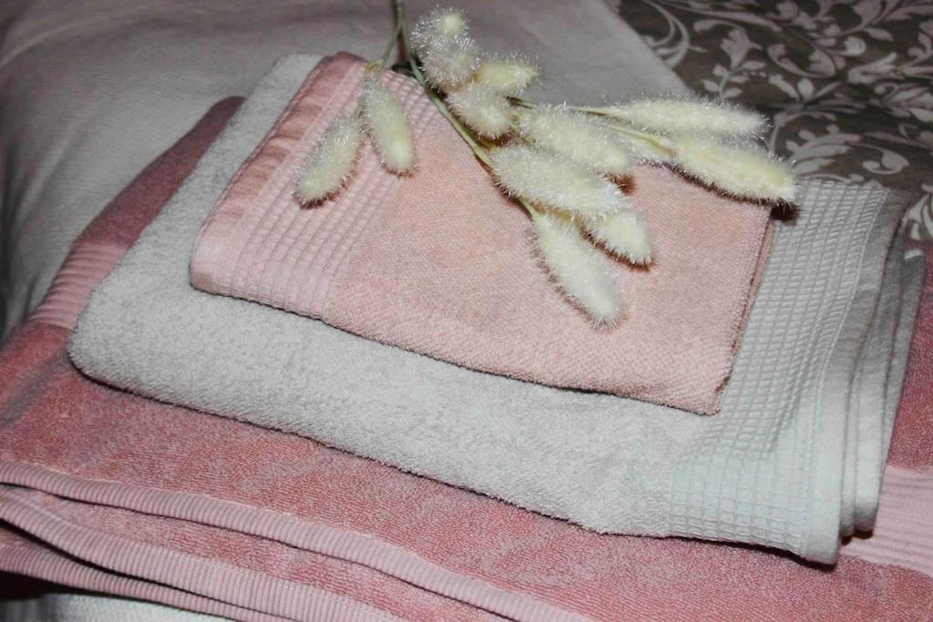 Apartamento El Picu Collanzo