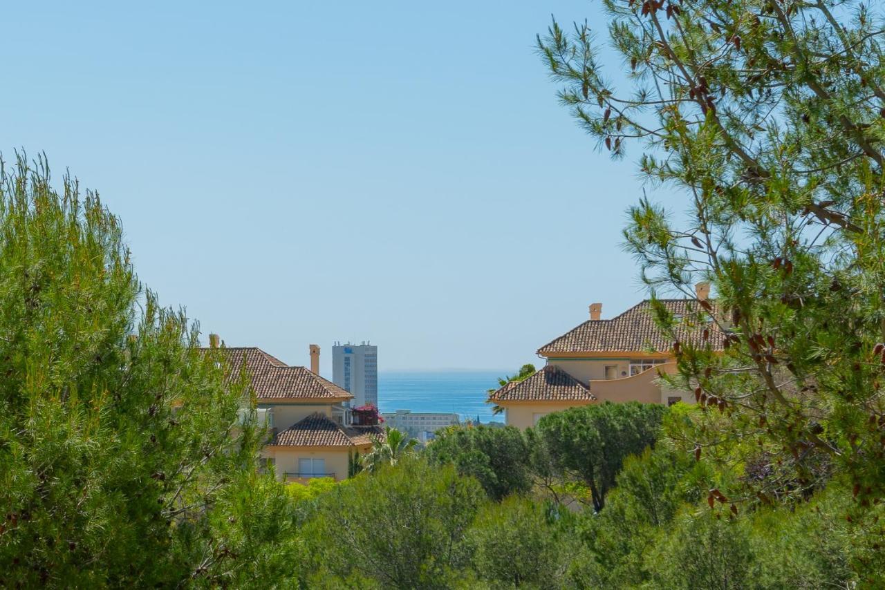 Precioso Elvira Hills. * Marbella