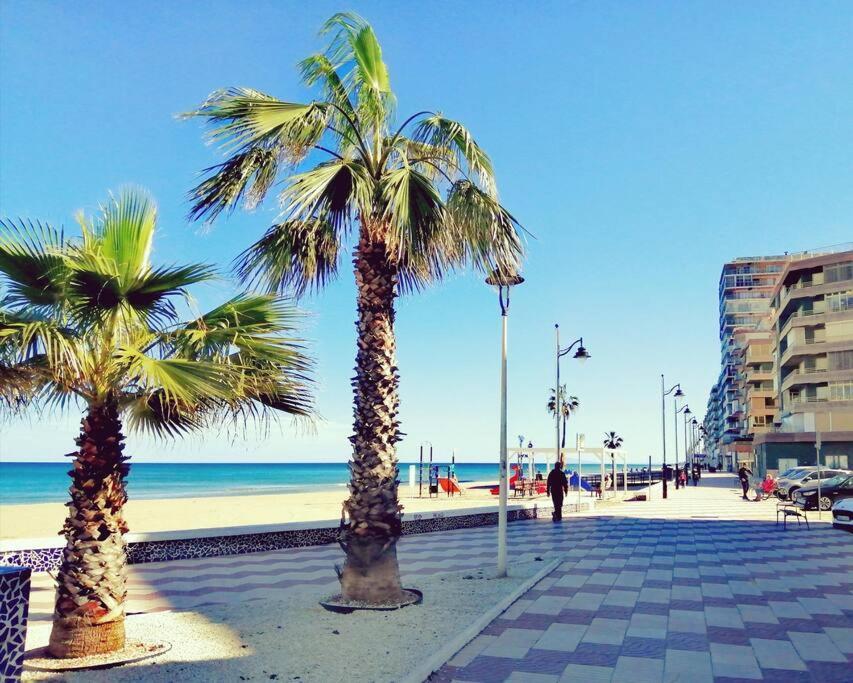 Apartamento Magnifique Bord De *