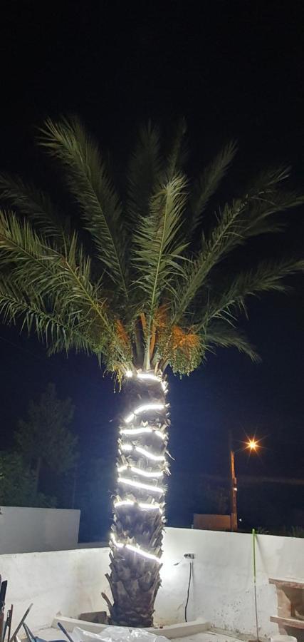 Apartamento La Palmera *