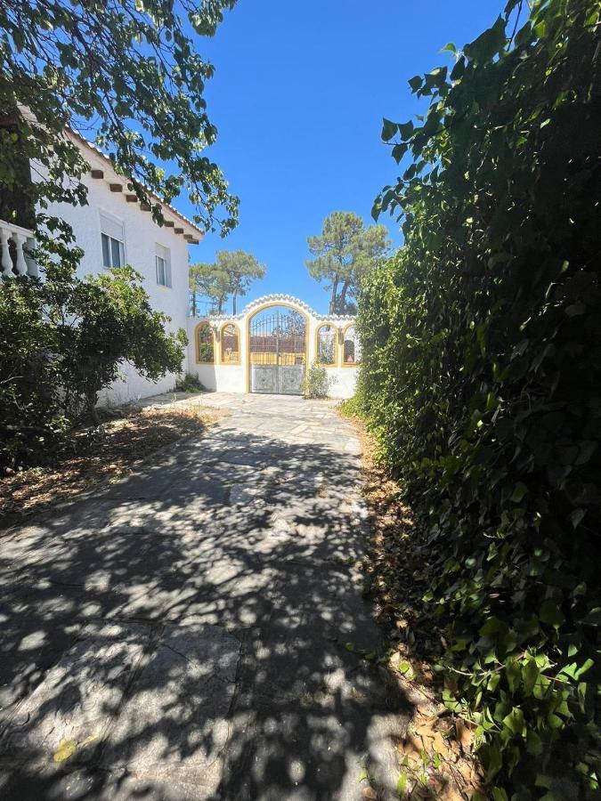 Nogueroles Villa