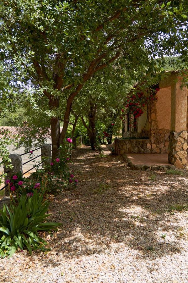 Amable- Yeste Lodge *