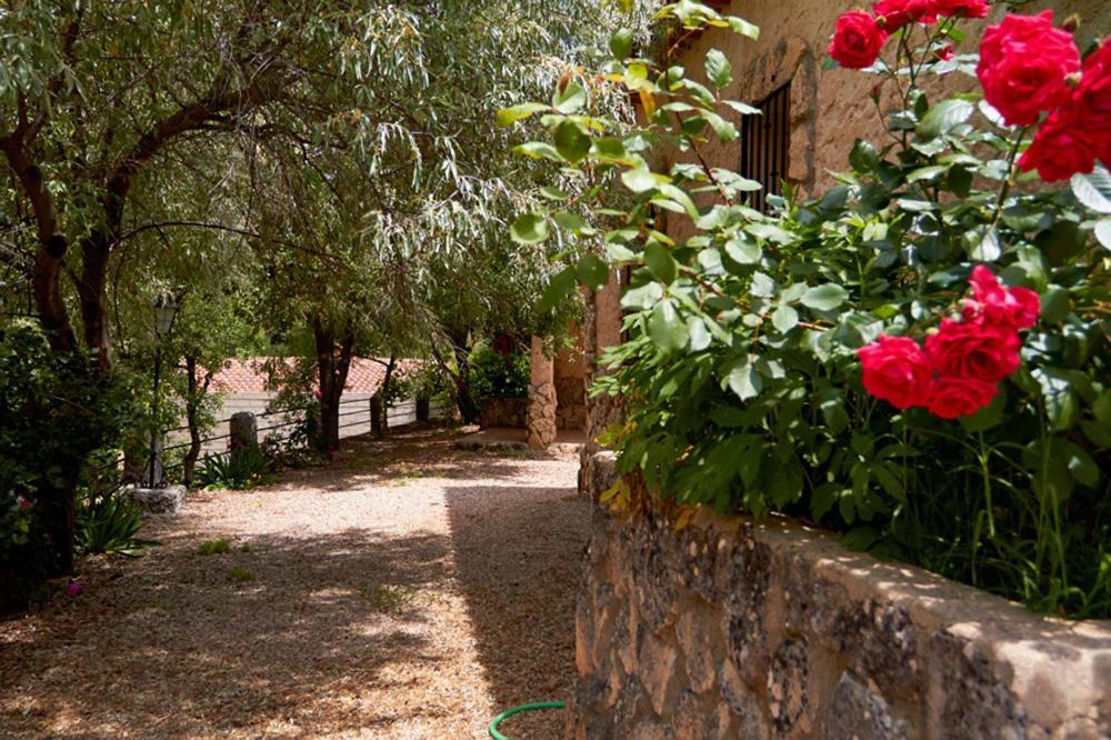 Amable- Yeste Lodge