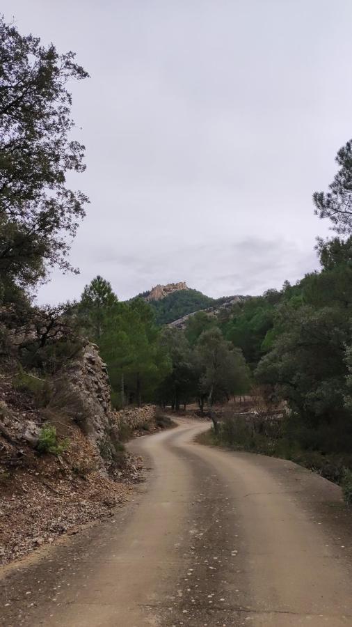 Meson La Lonja - Herbers *