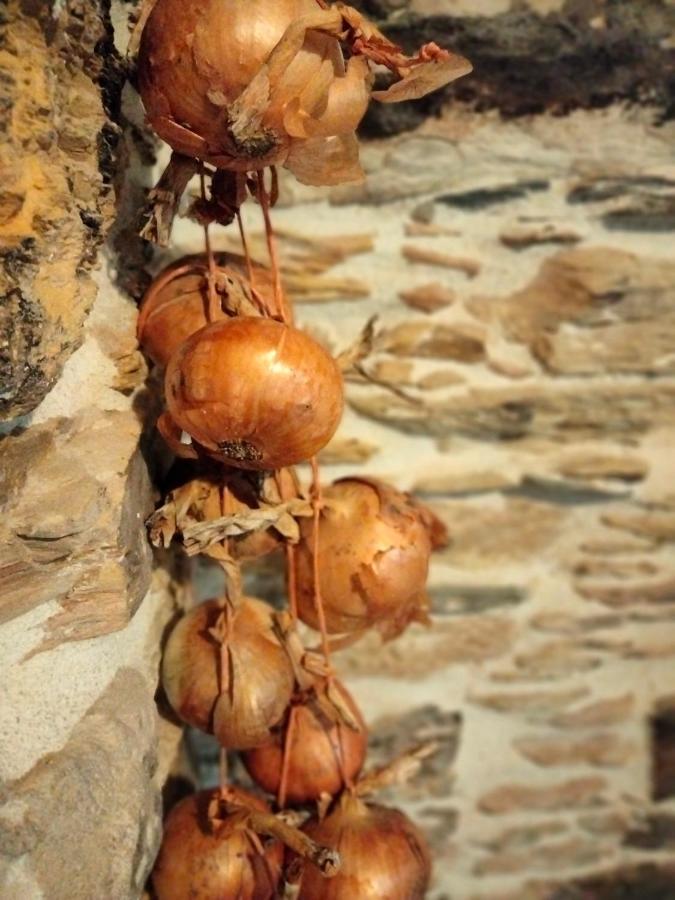 Casa Bagaro Bed & Breakfast