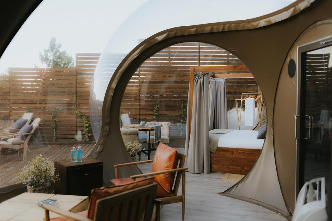 Hotel Noctis 4*