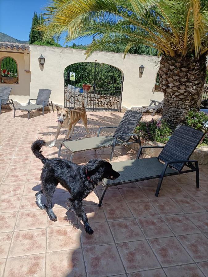 Bed and breakfast Lobos *