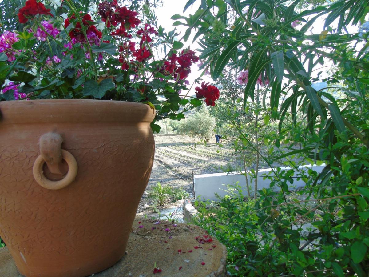 Casa El Molino * Montecorto