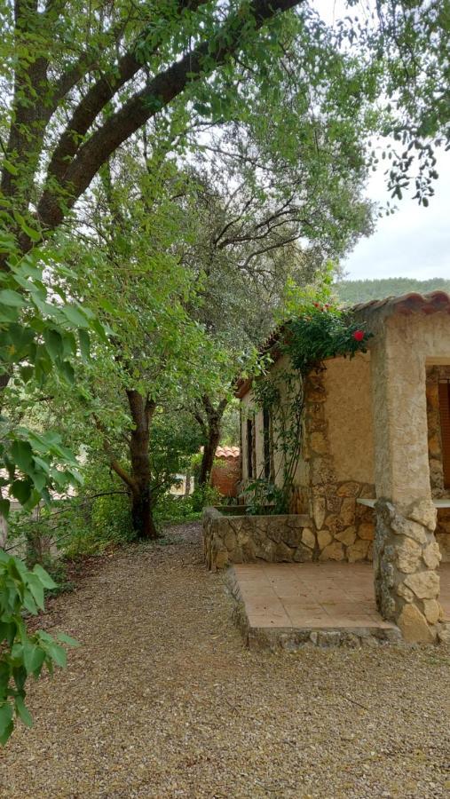 Amable- Yeste Lodge