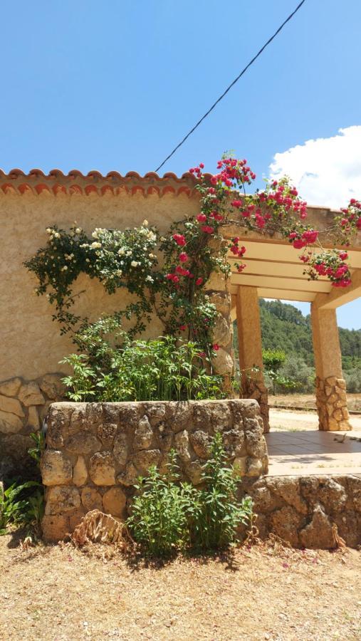Lodge Amable- Yeste