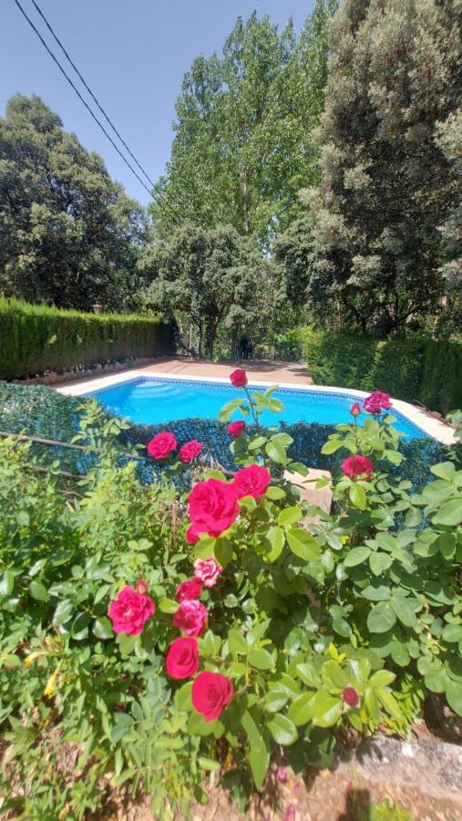 Lodge Amable- Yeste Cortijo Prados