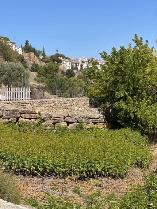 Holiday home Molino Leones *