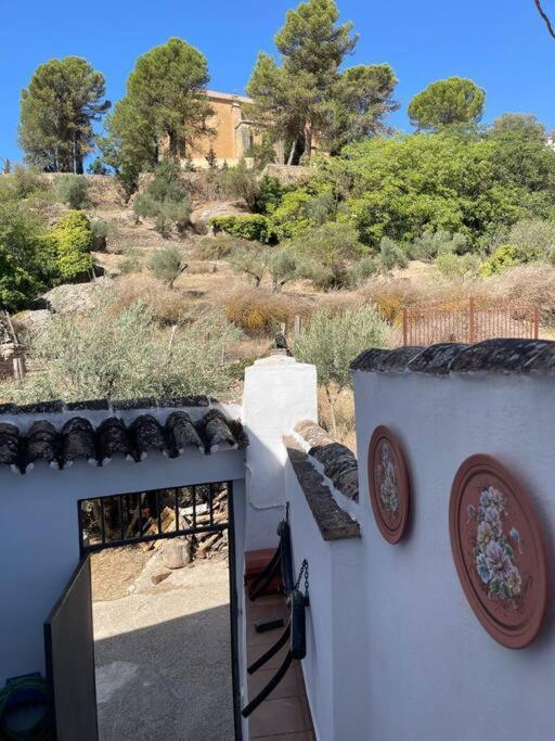 Molino Leones Ronda