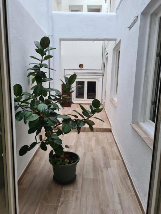 Apartamento Centrico