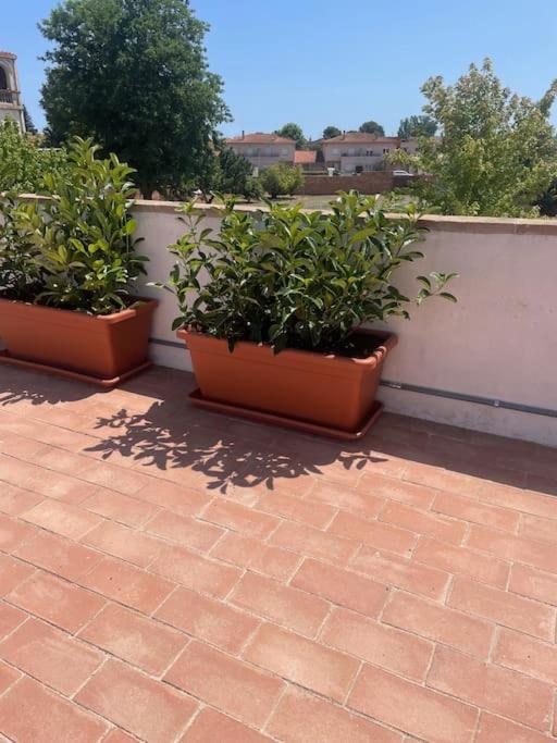 El Paller De L'armentera 3 Apartamento Saldet