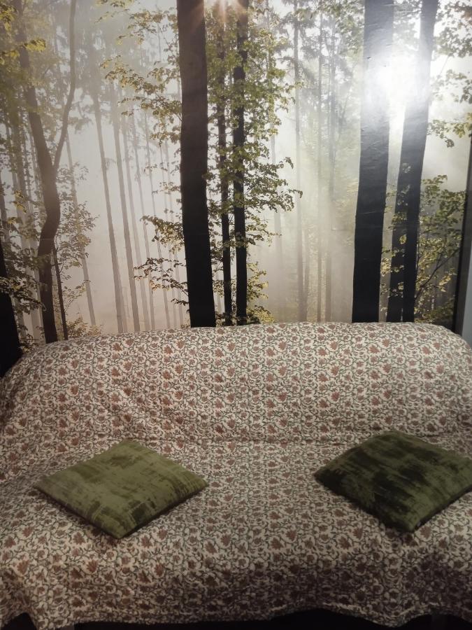 Bajera-loft No Comfortable Con La Verja En La Entrada,,no Lujosa,vieja,sin Reforma, Con Cedula De Habitabilidad Preparada Para Alojamiento No No Hostal No Apartamento El Precio Coincide Con Calidad Y Calificaciones Trato Familiar,como En Tu Cas Apartamento *