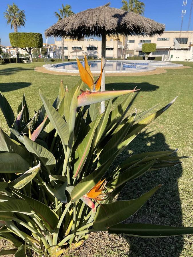 Apartment Flamingo Gran Alacant *