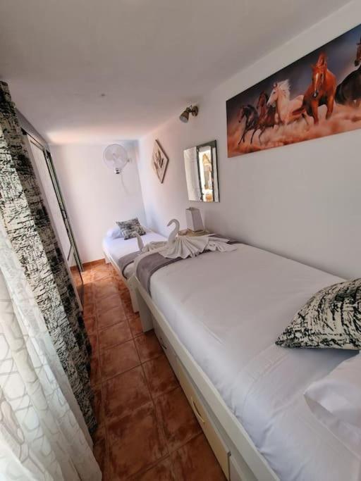 Villa Finca Rocio