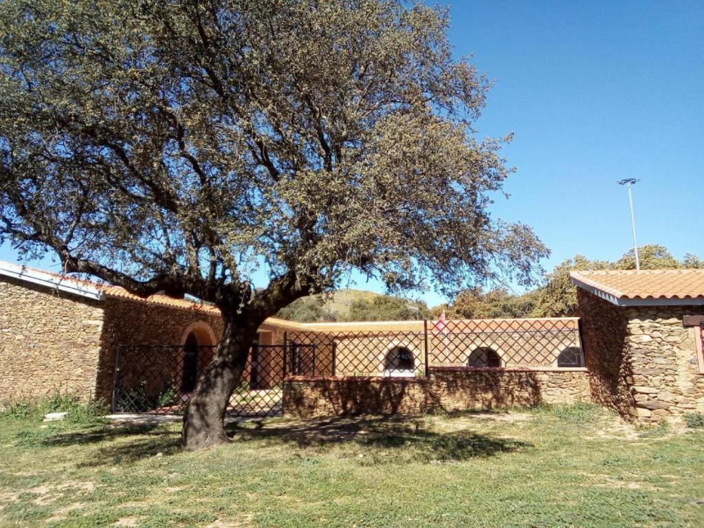 Dehesa De Hostal *