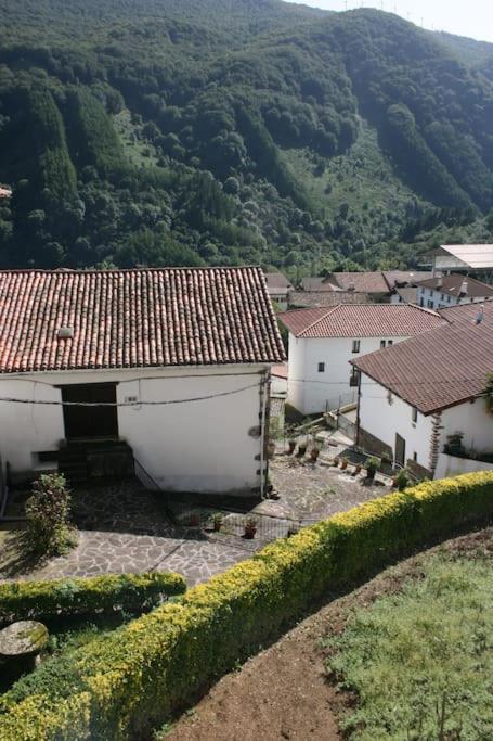 Gartzinea, Amplia Y Preciosa Vivienda Rural * Ezkurra