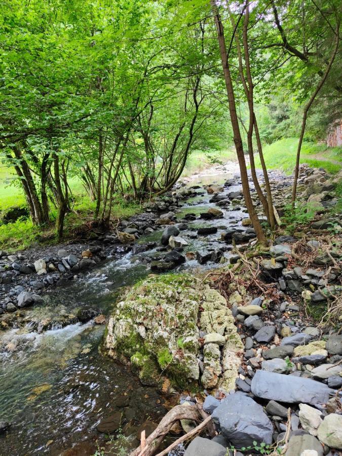 Gartzinea, Amplia Y Preciosa Vivienda Rural Apartamento *