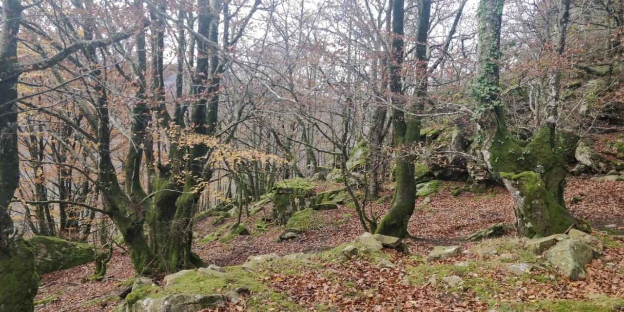 Apartamento Gartzinea, Amplia Y Preciosa Vivienda Rural