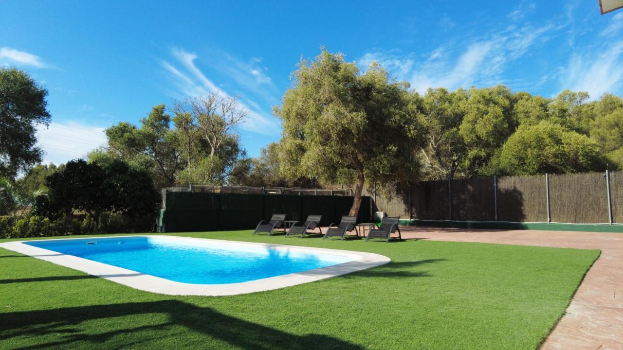 Apartamento Dalia Malcocinado (Andalucia)