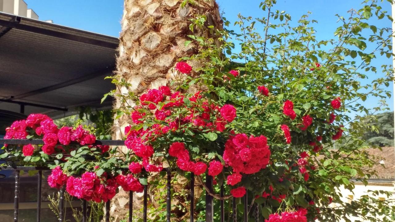 Hotel Rural El Molino 3*