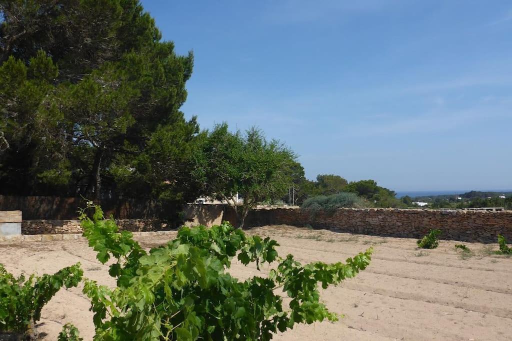 Roja Formentera Holiday home *