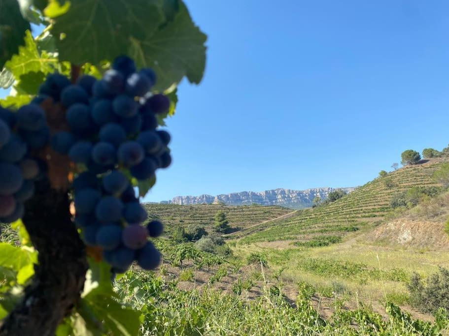 Vinyes Del Priorat * Cornudella de Montsant