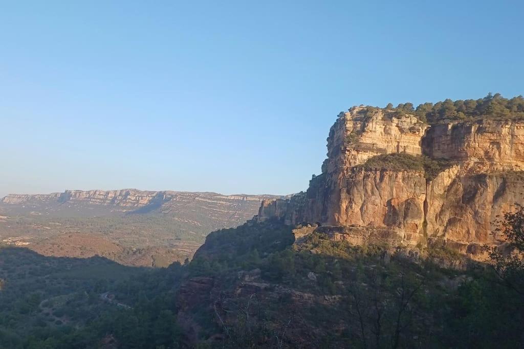 Vinyes Del Priorat
