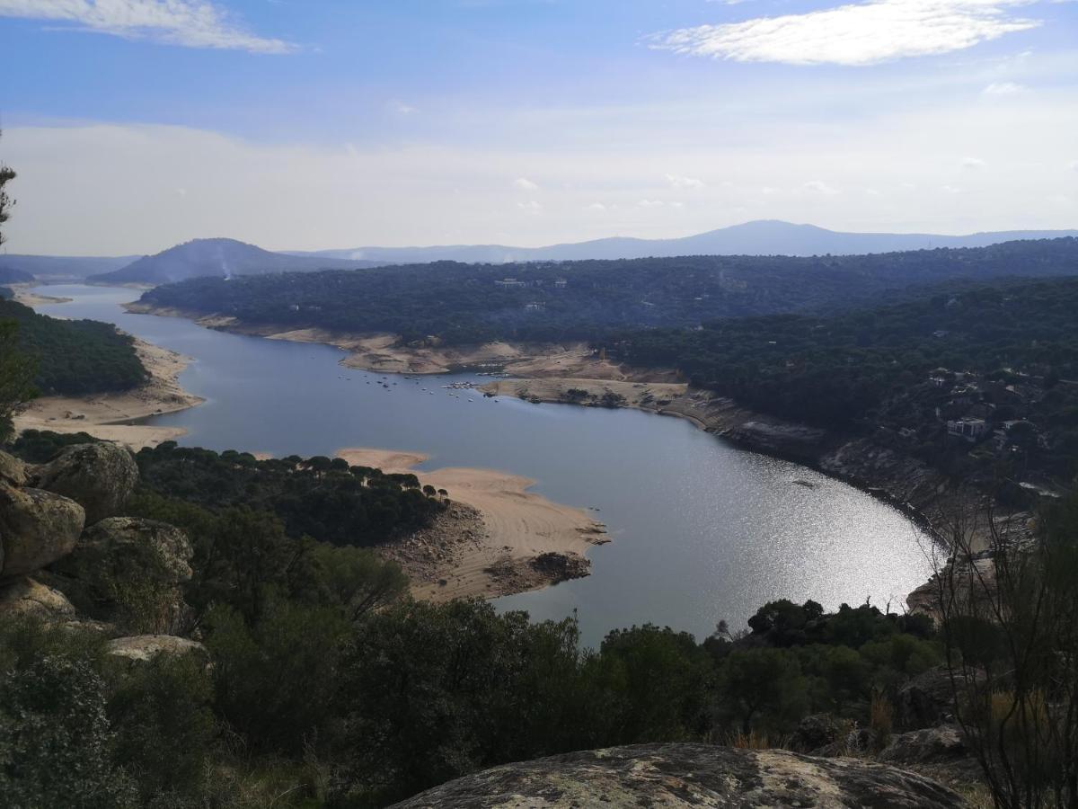 Naturaleza Viva