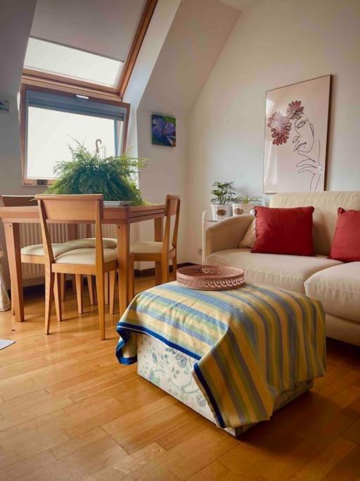 Apartamento Con Vistas Apartamento *