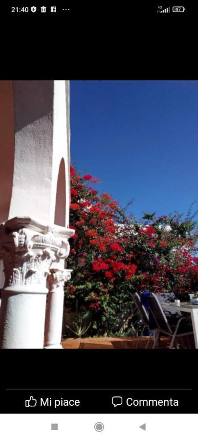 Ocean House Bed & Breakfast Granadilla De Abona