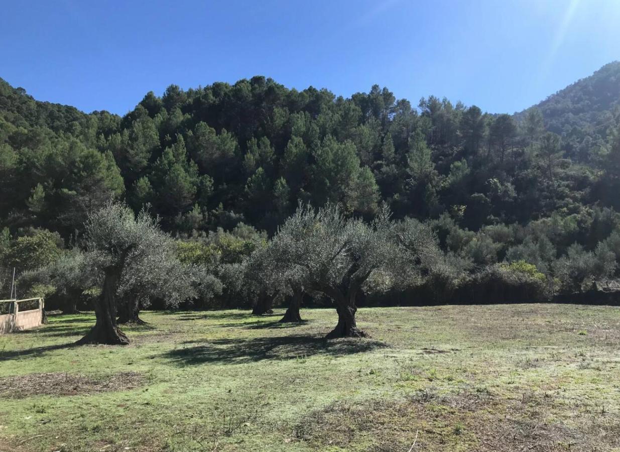 Paraiso Cuantico