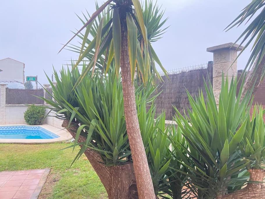 Сasa de vacaciones Las - Chalet Y Piscina A 10'de Sevilla Umbrete