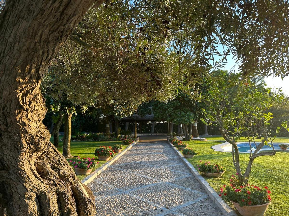 El Maestre Villa *