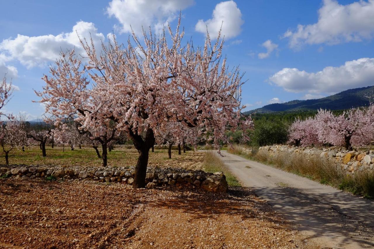 Casa rural Aldea Roqueta Rural Els Ibarsos